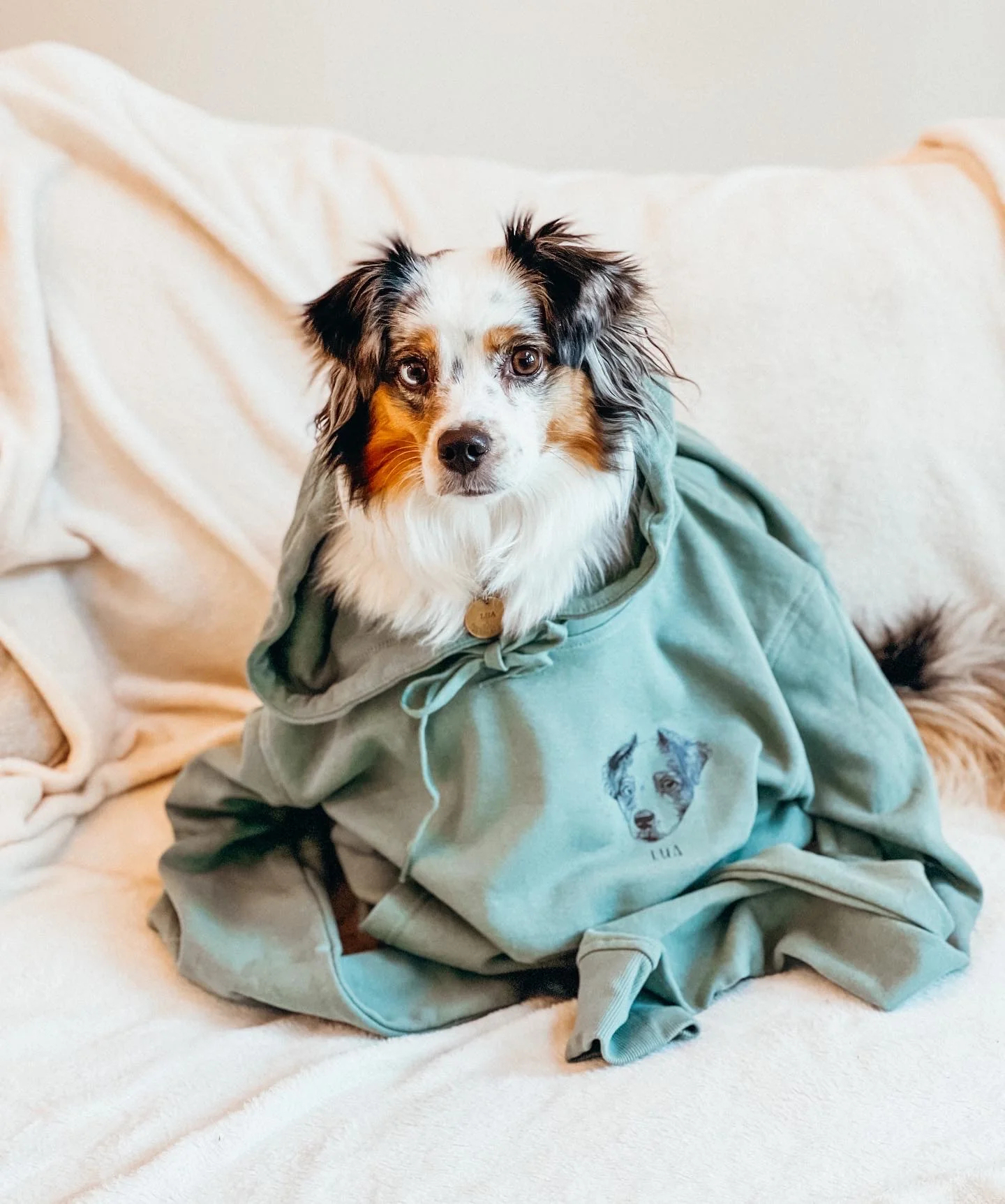Custom Pet Hoodie Crewneck T-shirt