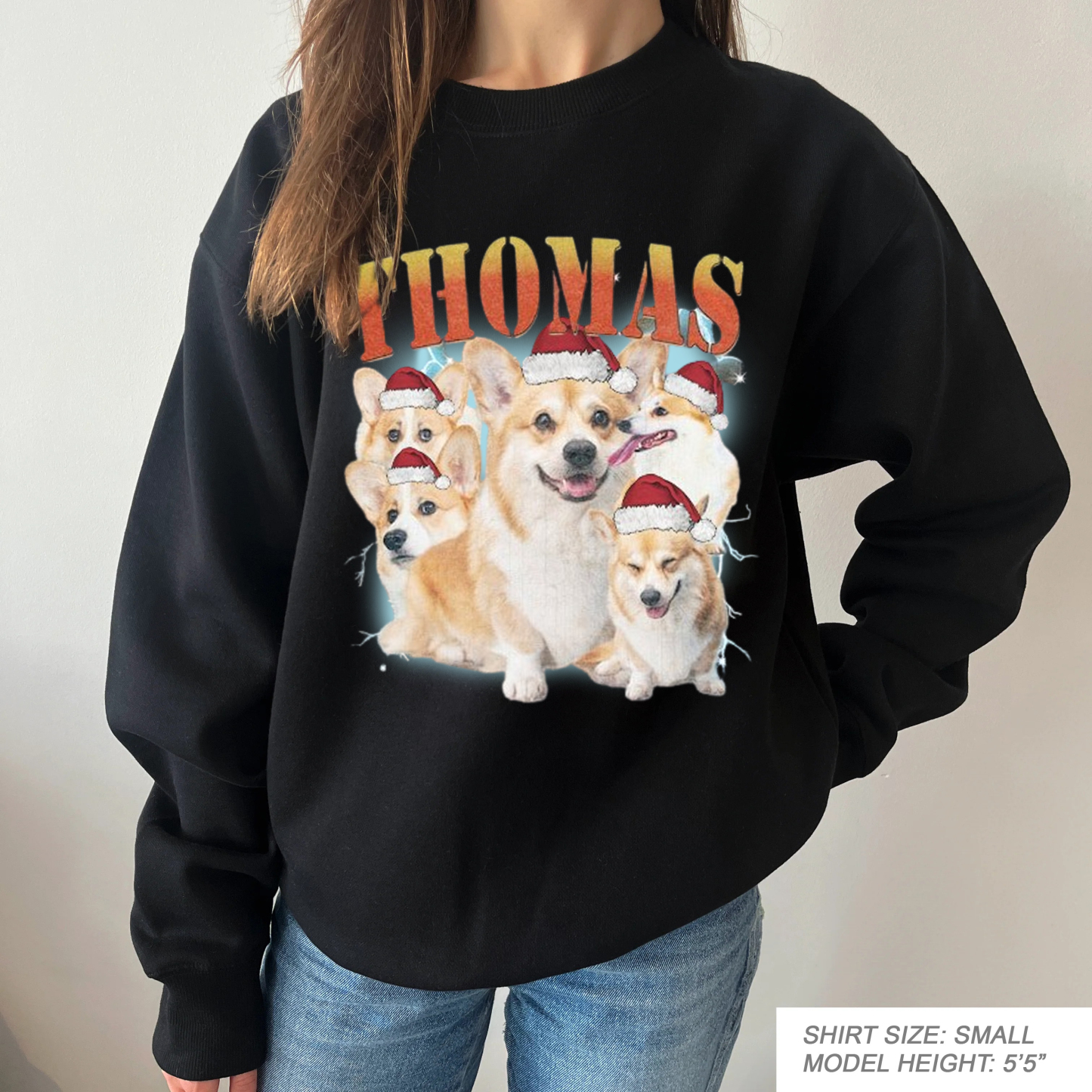 Custom Printing Vintage Hip Hop Vintage Pet Sweatshirt