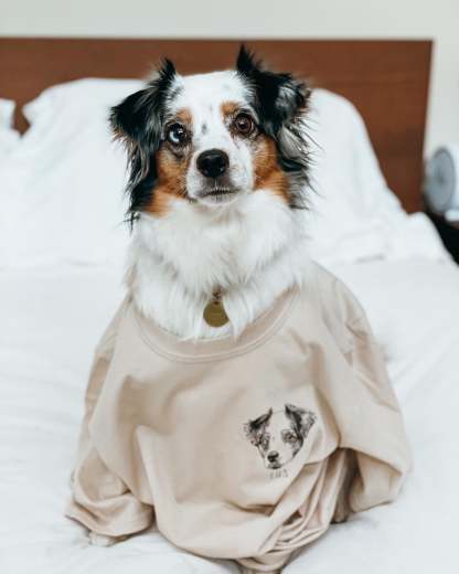 Custom Pet Hoodie Crewneck T-shirt