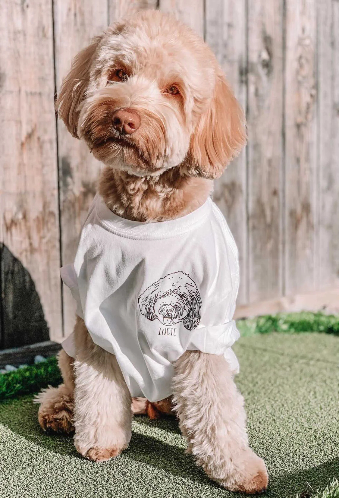 Custom Pet Hoodie Crewneck T-shirt
