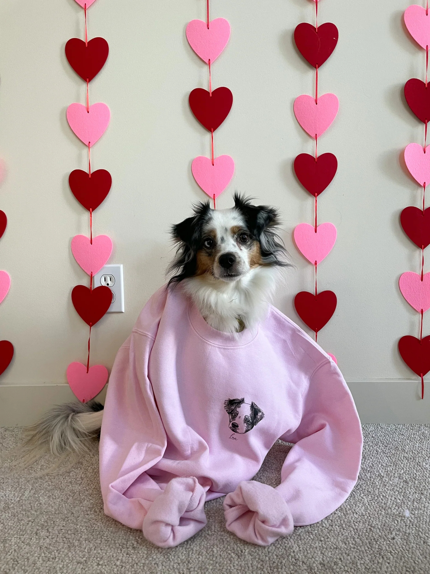 Custom Pet Hoodie Crewneck T-shirt