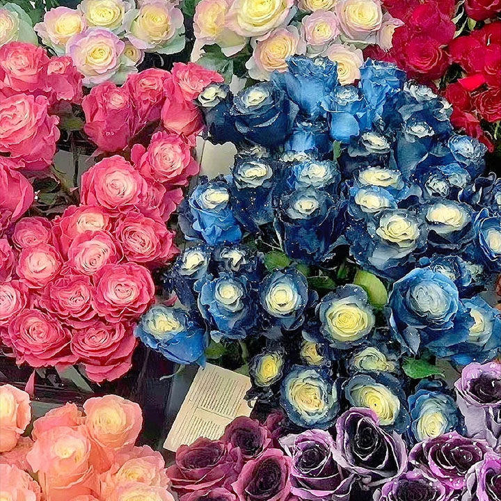 🌹Ecuadorian Roses Seeds - Rare Roses Seeds