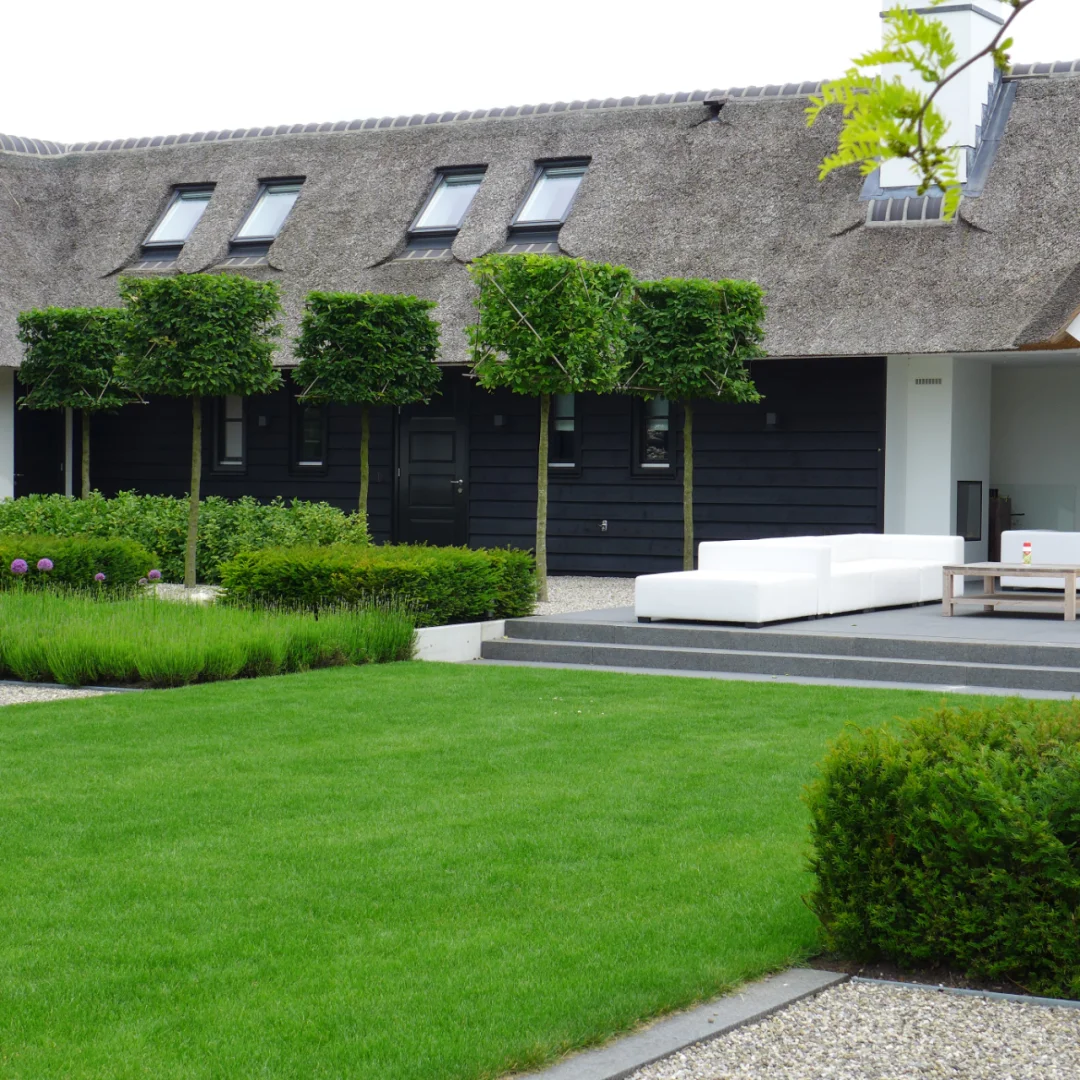 🌱 Four Seasons Evergreen Dwarf Grass Seed | Create your perfect lawn here