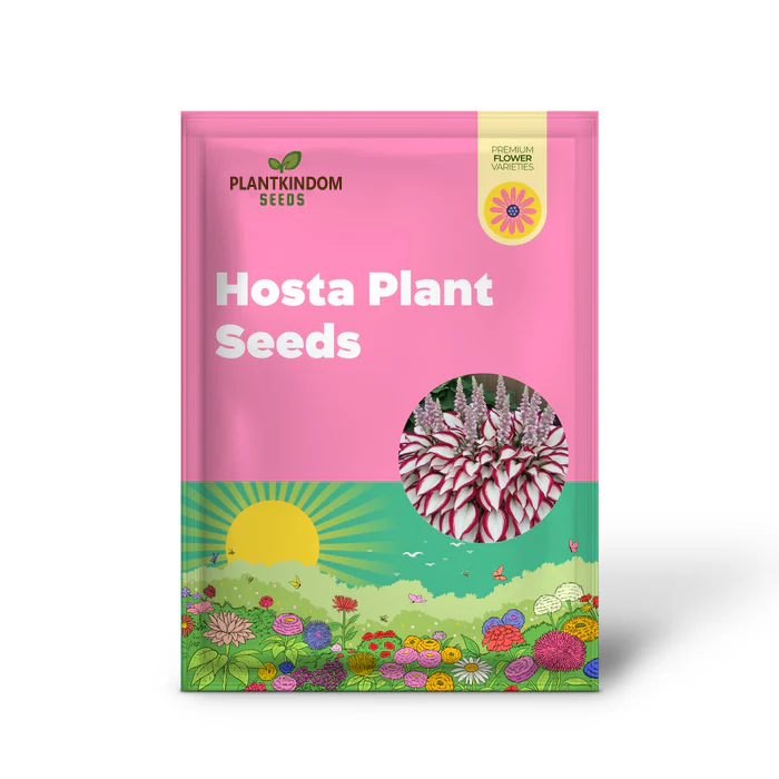 🎁【2025 Limited】Rare Hosta Seed Gift Box🌿