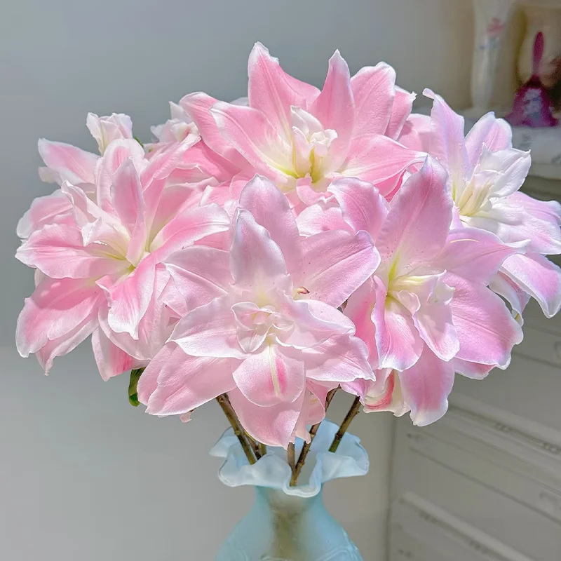 🌈 Rainbow Lily Bulbs — Grow a Garden That Shines With Every Color