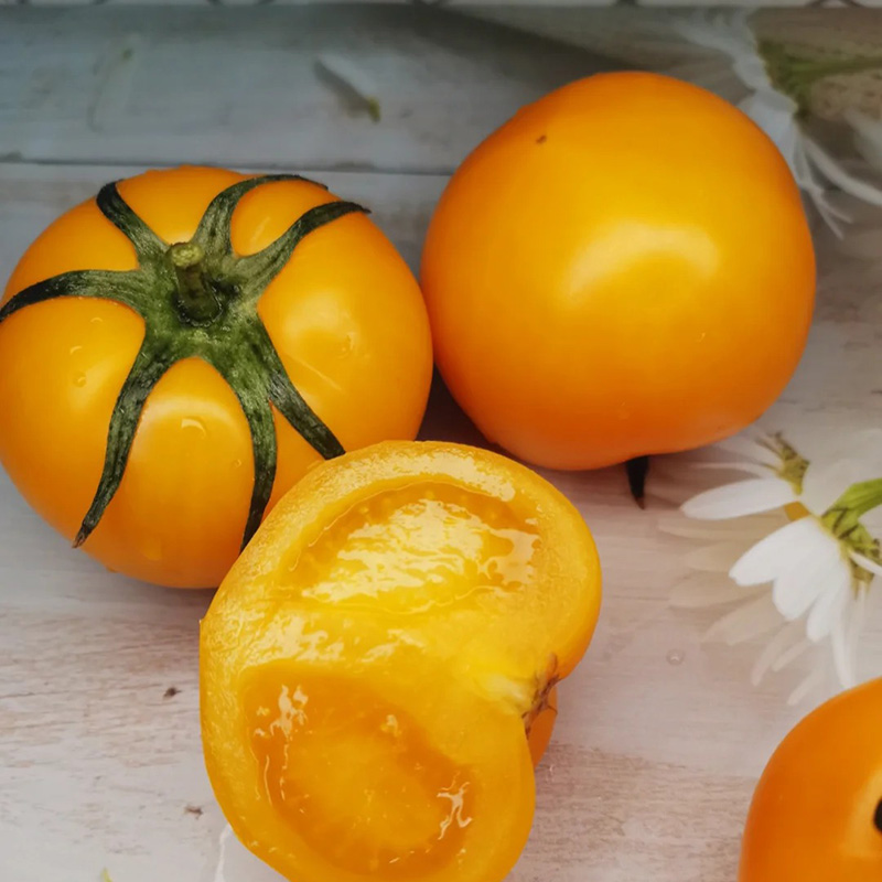 🔥Hot Sales In Spring🍅Delicious Tomato Seed🌱Easy To Planting