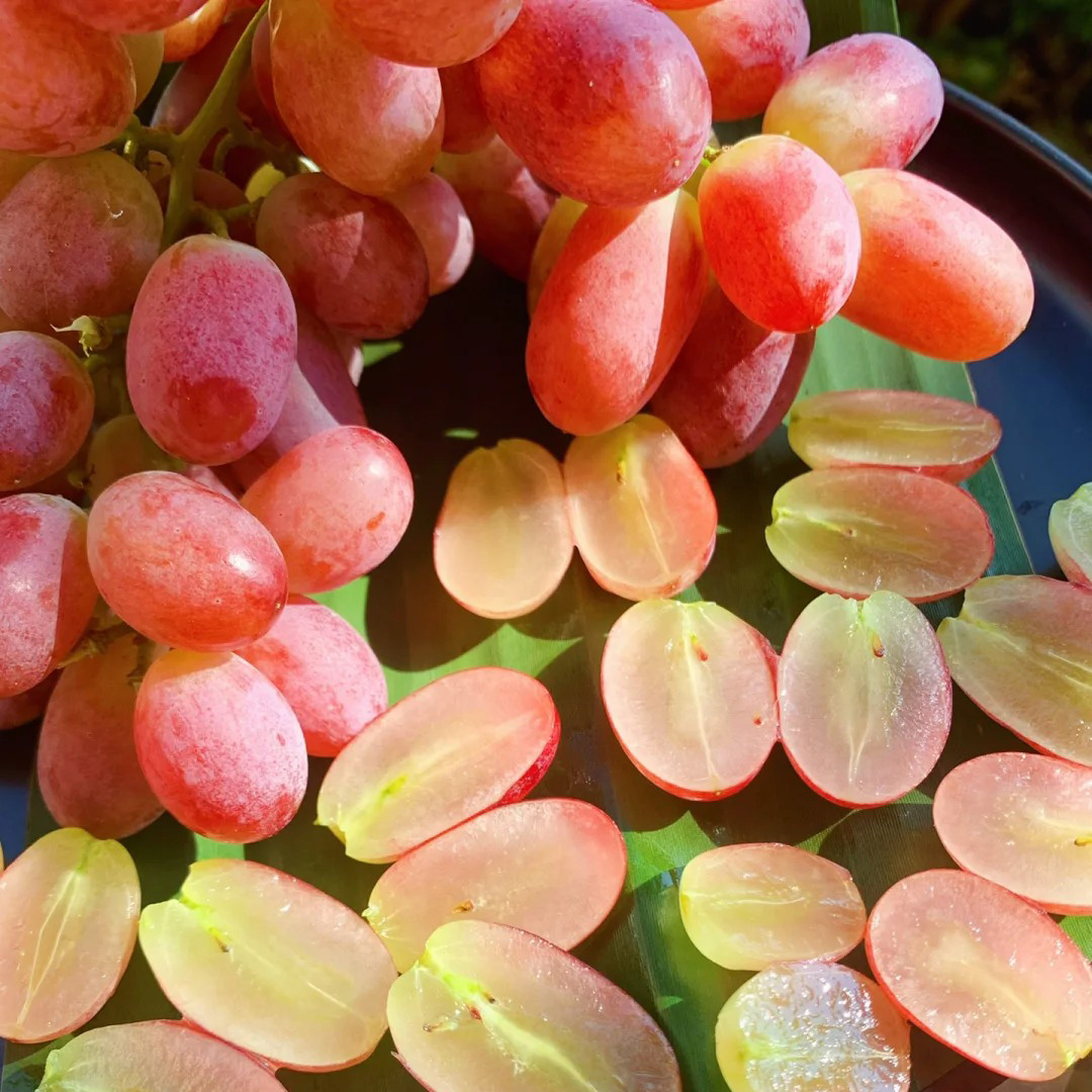 🔥Hot sales in spring🍇High Quality Red Grape Seeds🚀50% Discount