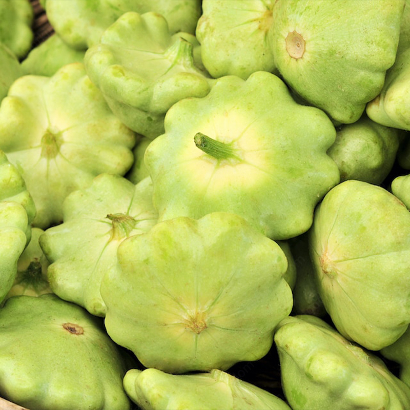 Pattypan Squash Seeds