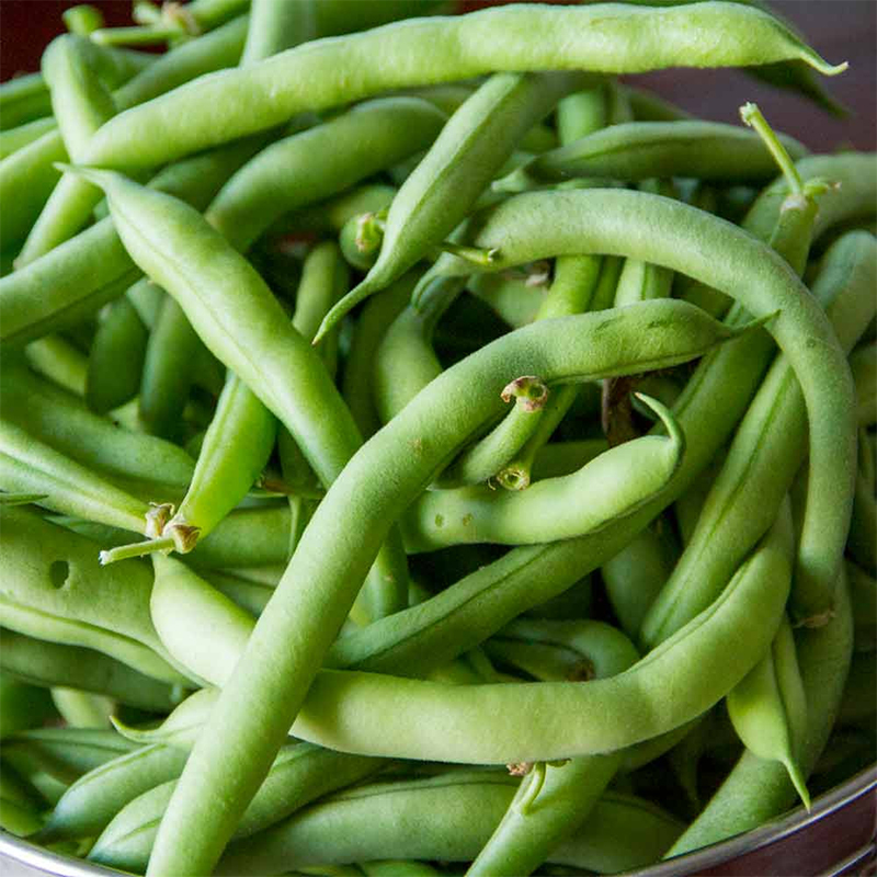 Bush Bean Seeds