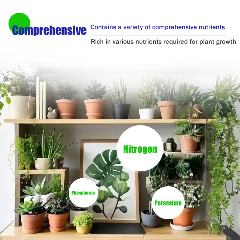 Plant Regeneration Agent: Revive & Thrive 🌿