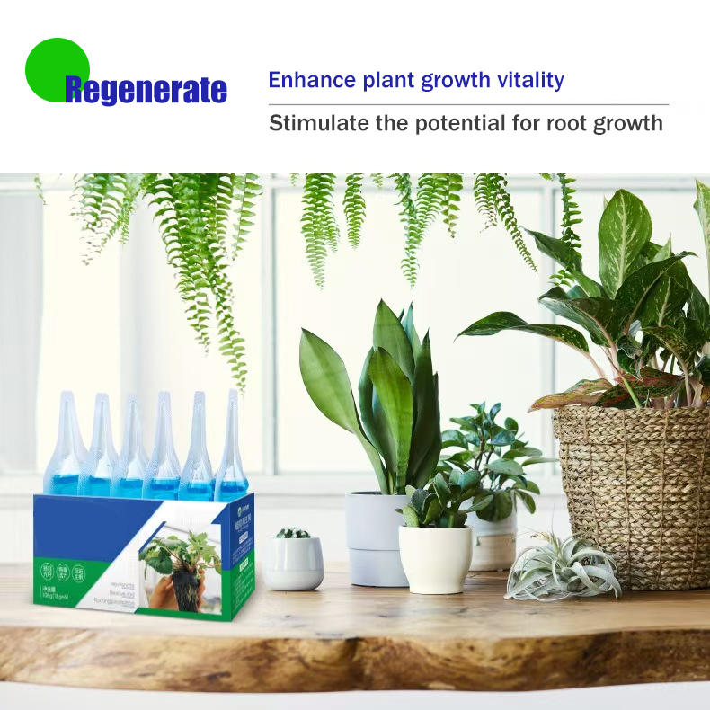Plant Regeneration Agent: Revive & Thrive 🌿