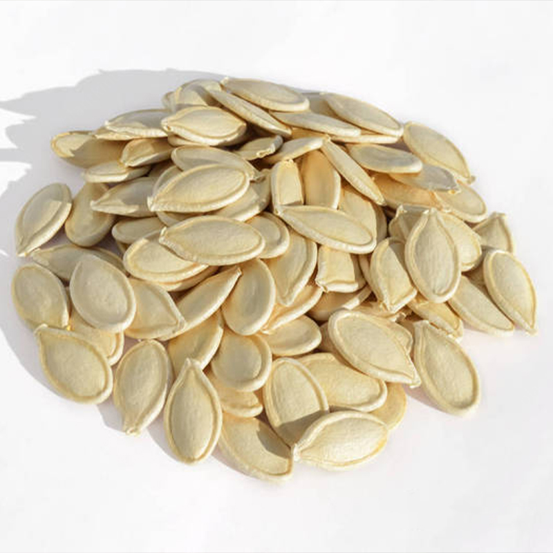 Pattypan Squash Seeds