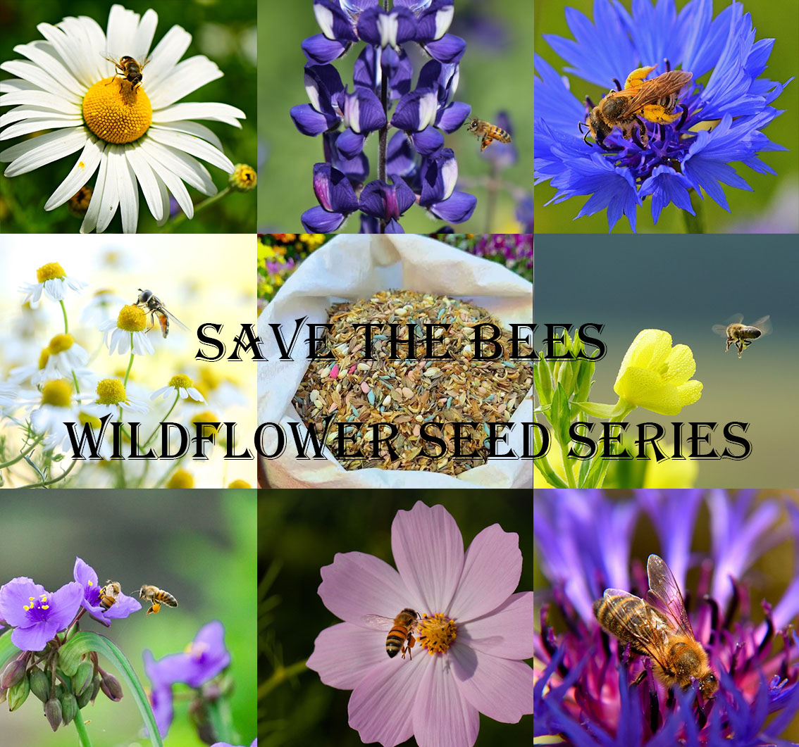 Save Bees Wildflower Seed Series - Pure Non-GMO Flower Seeds