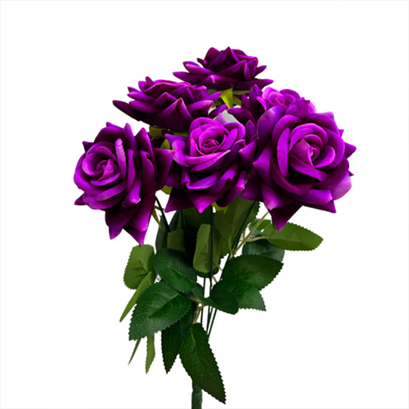 Rare Tricolor Rose 'Watercolor' Seeds