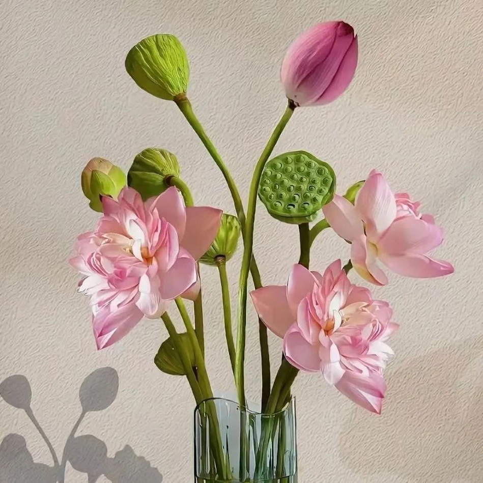 【🌸7 days germination🌸】Last Day Sale - 50% OFF💐The Sacred Bonsai Bowl Lotus Flower