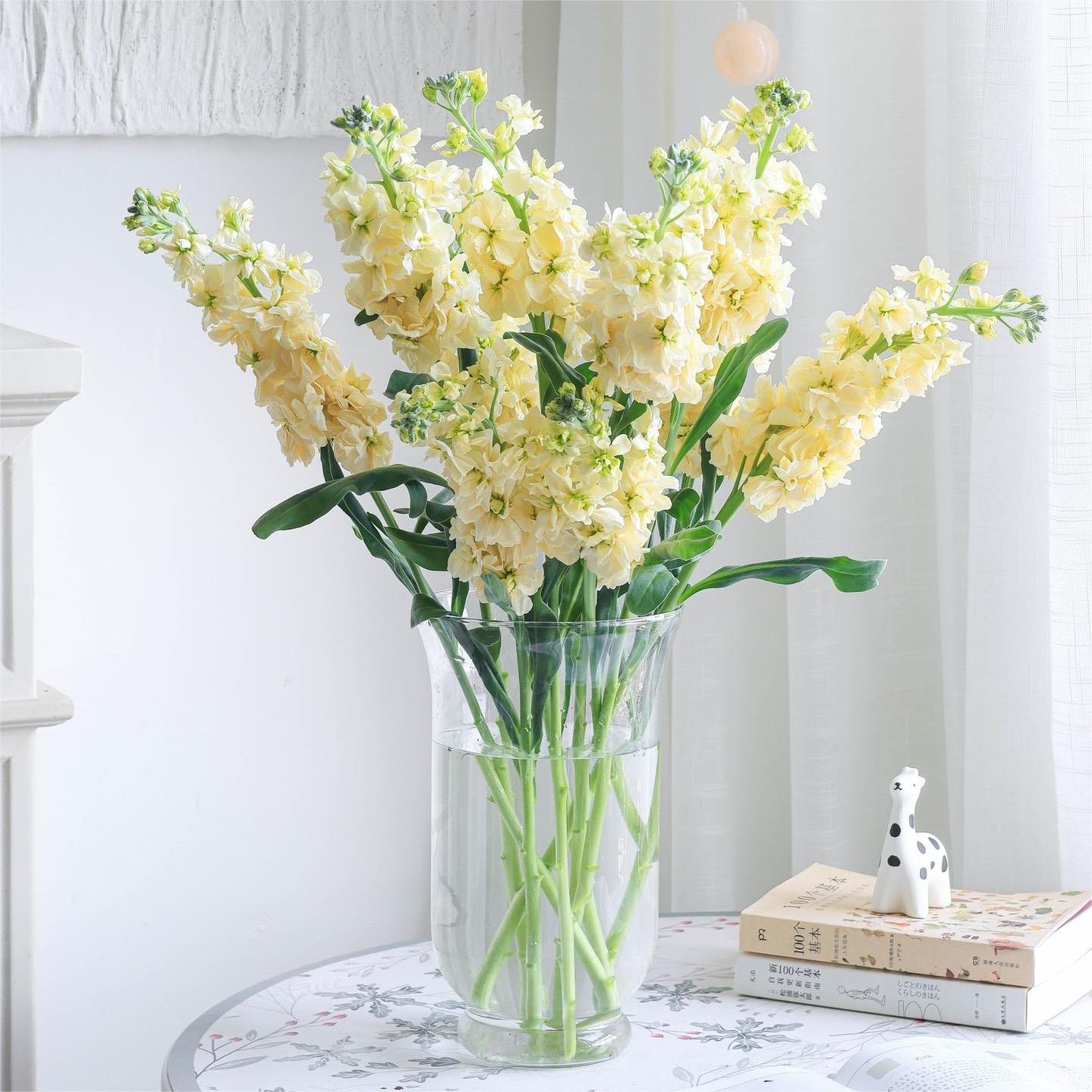 Exotic flowers🌸Cut flower violets 🔥New arrivals🌷