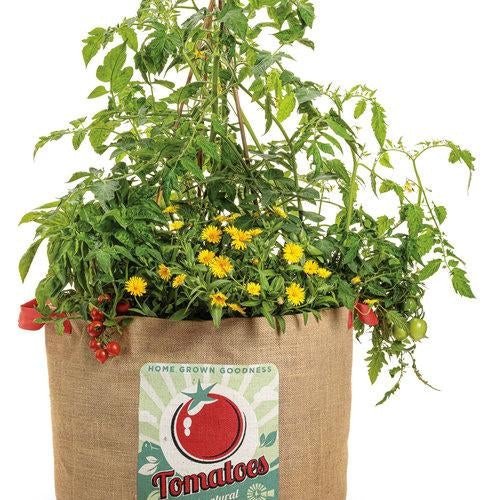 Garden Treasure Tomatoes