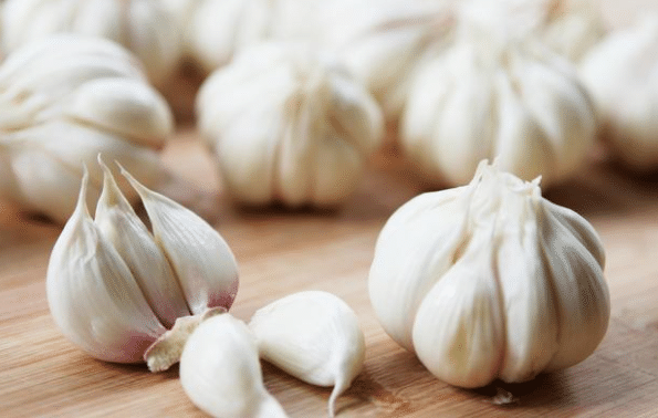 Red/Purple Garlic Seeds