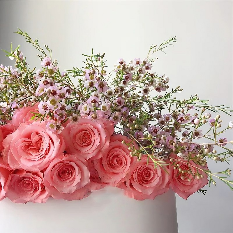 46%OFF🚀Best Selling🌹Diana Rose 50 Seeds🩷Sowing All Year Round