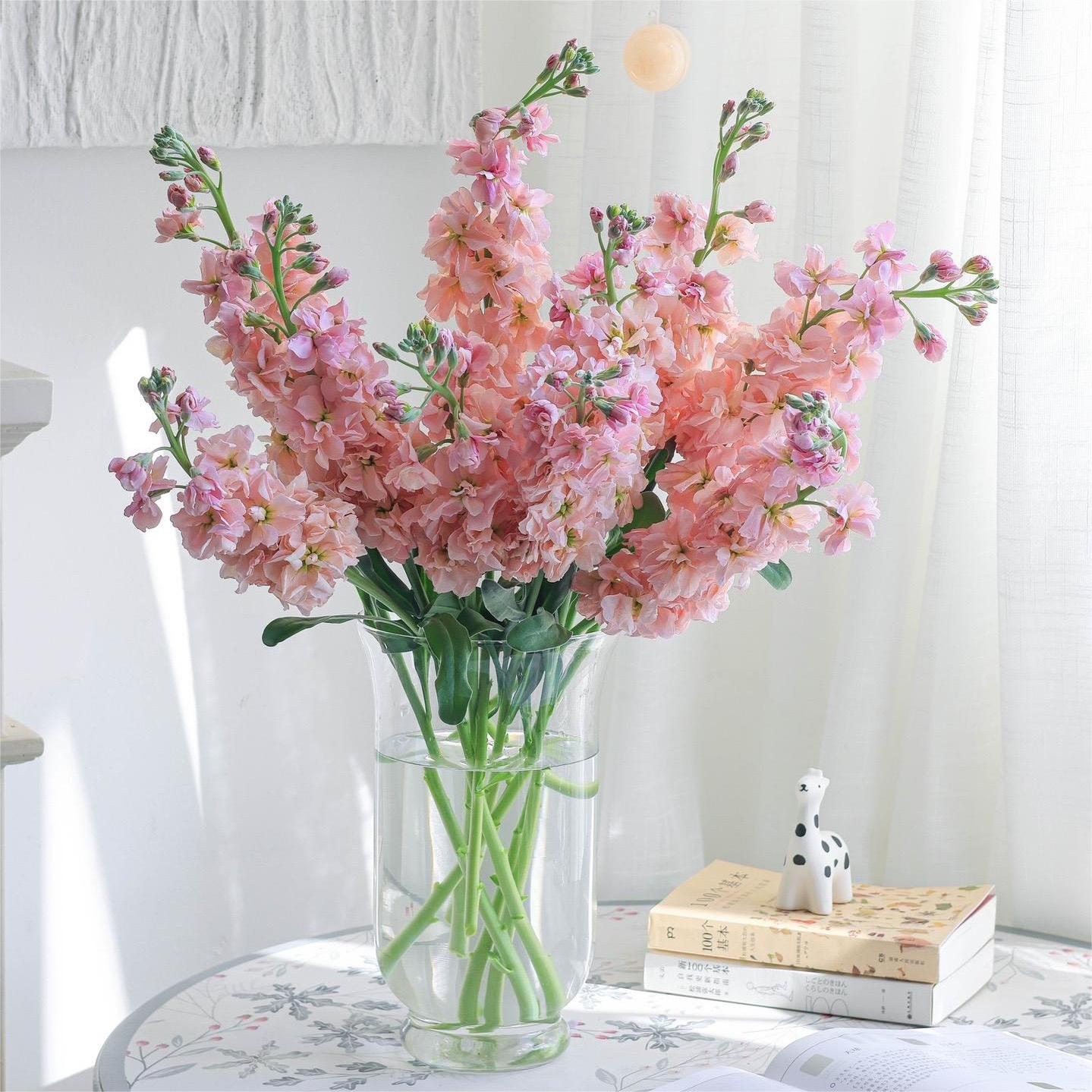 Exotic flowers🌸Cut flower violets 🔥New arrivals🌷