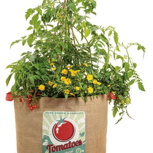 Garden Treasure Tomatoes