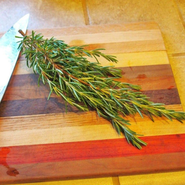 ROSEMARY HERB SEEDS: (Rosemarinus Officinalis) Perennial