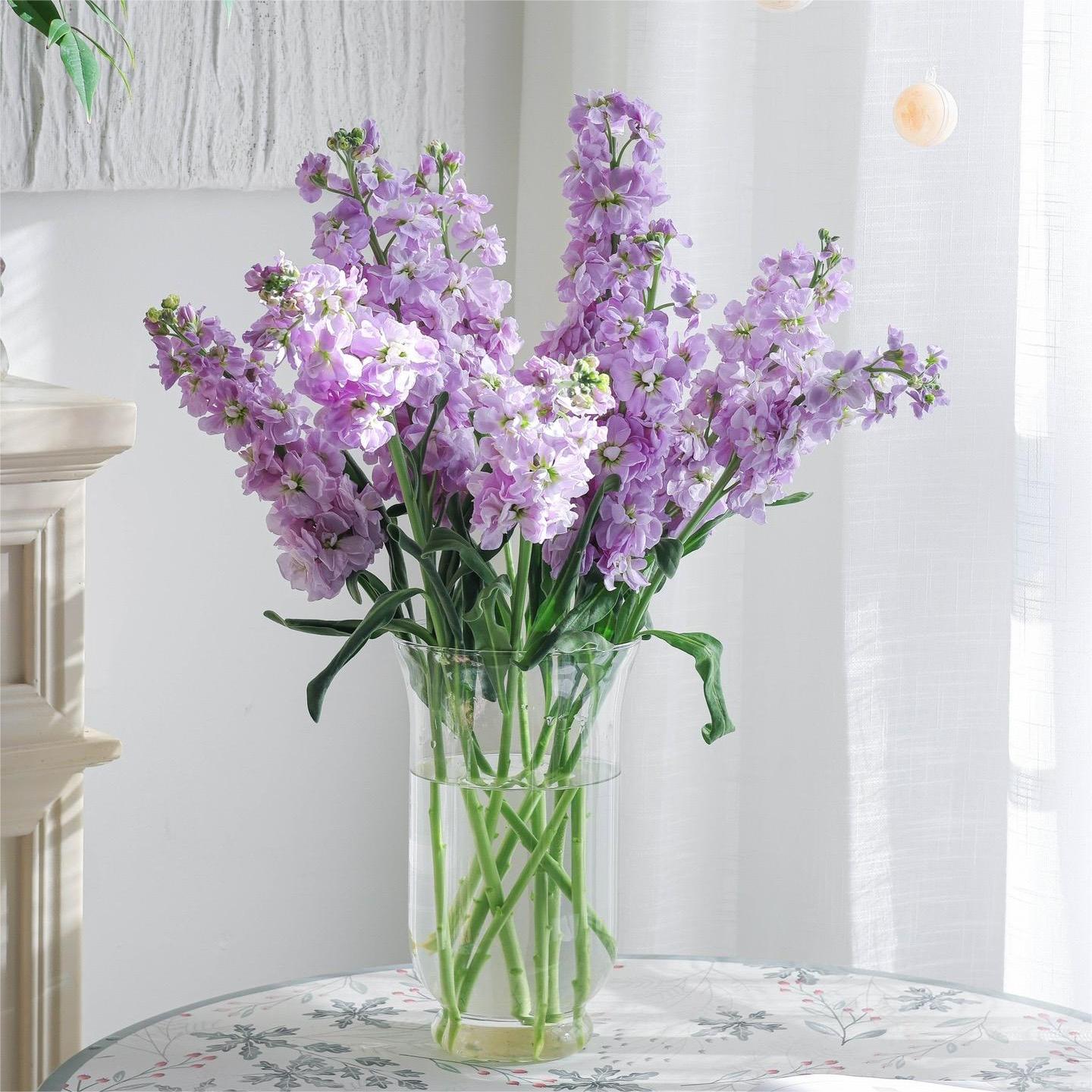 Exotic flowers🌸Cut flower violets 🔥New arrivals🌷