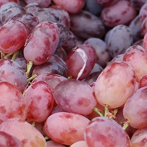Romantic Red Grapes