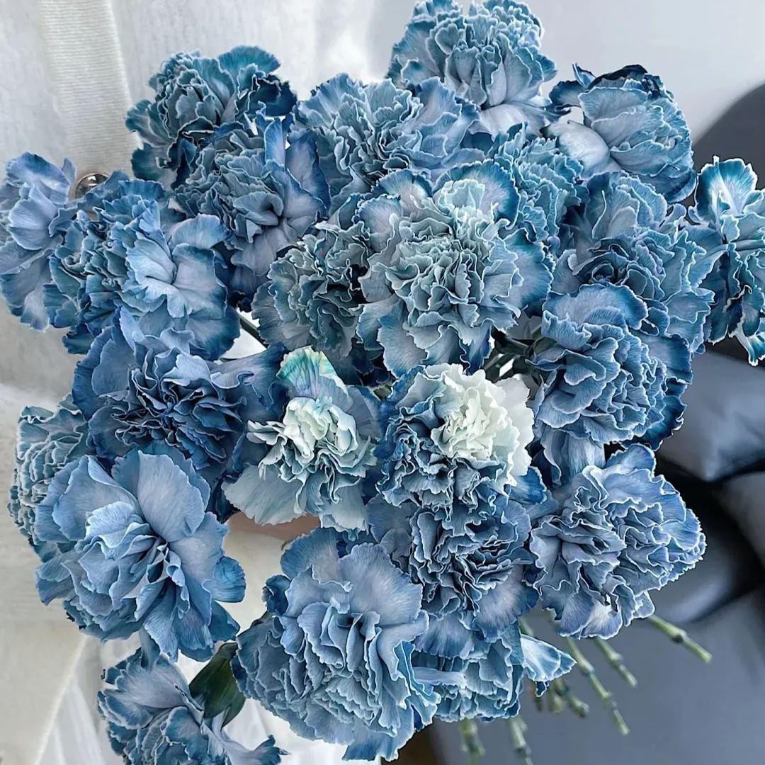 🔥 48% OFF! 10 Colors Mixed Carnations