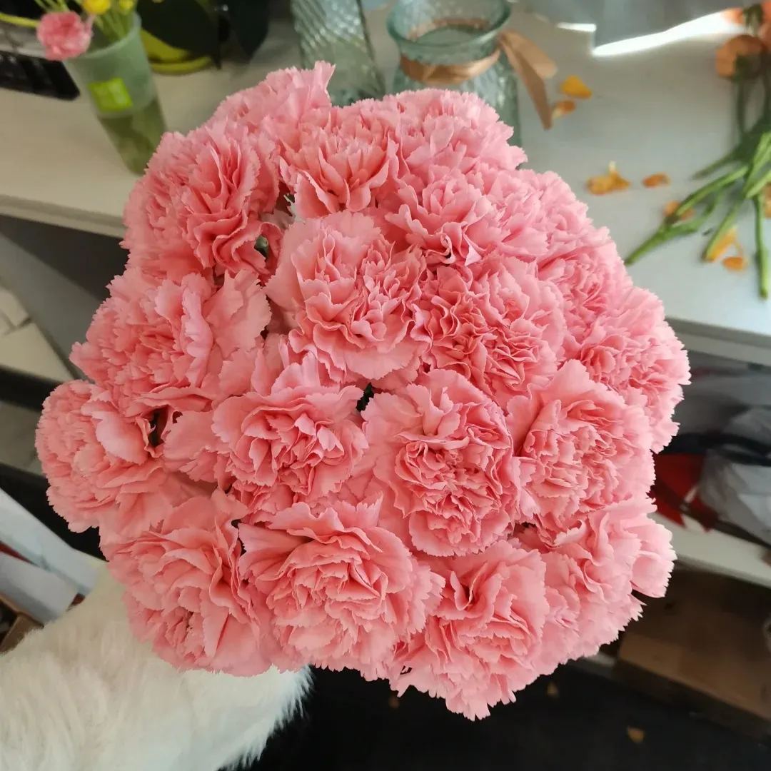 🔥 48% OFF! 10 Colors Mixed Carnations