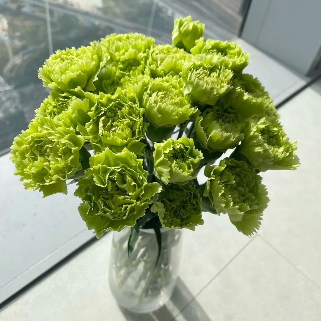 🔥 48% OFF! 10 Colors Mixed Carnations