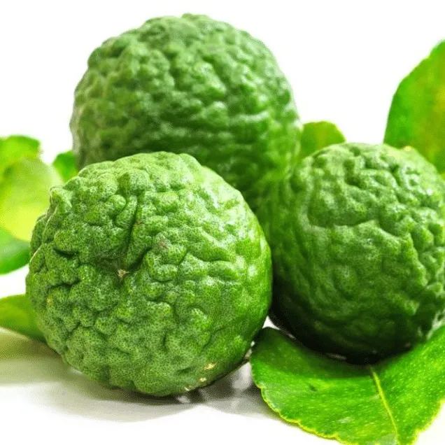 9 PCS VERY RARE LEMON SEEDS