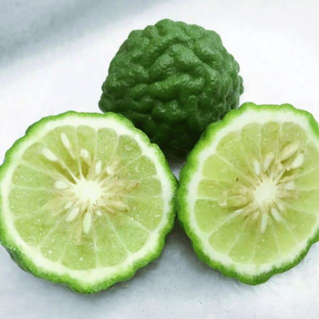 9 PCS VERY RARE LEMON SEEDS