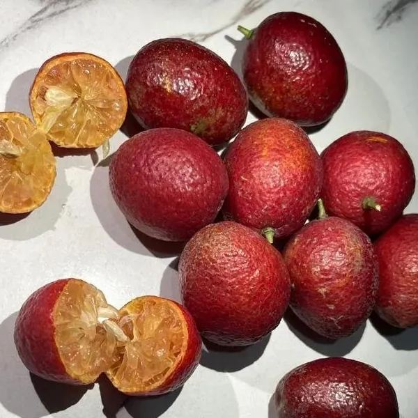 9 PCS VERY RARE LEMON SEEDS