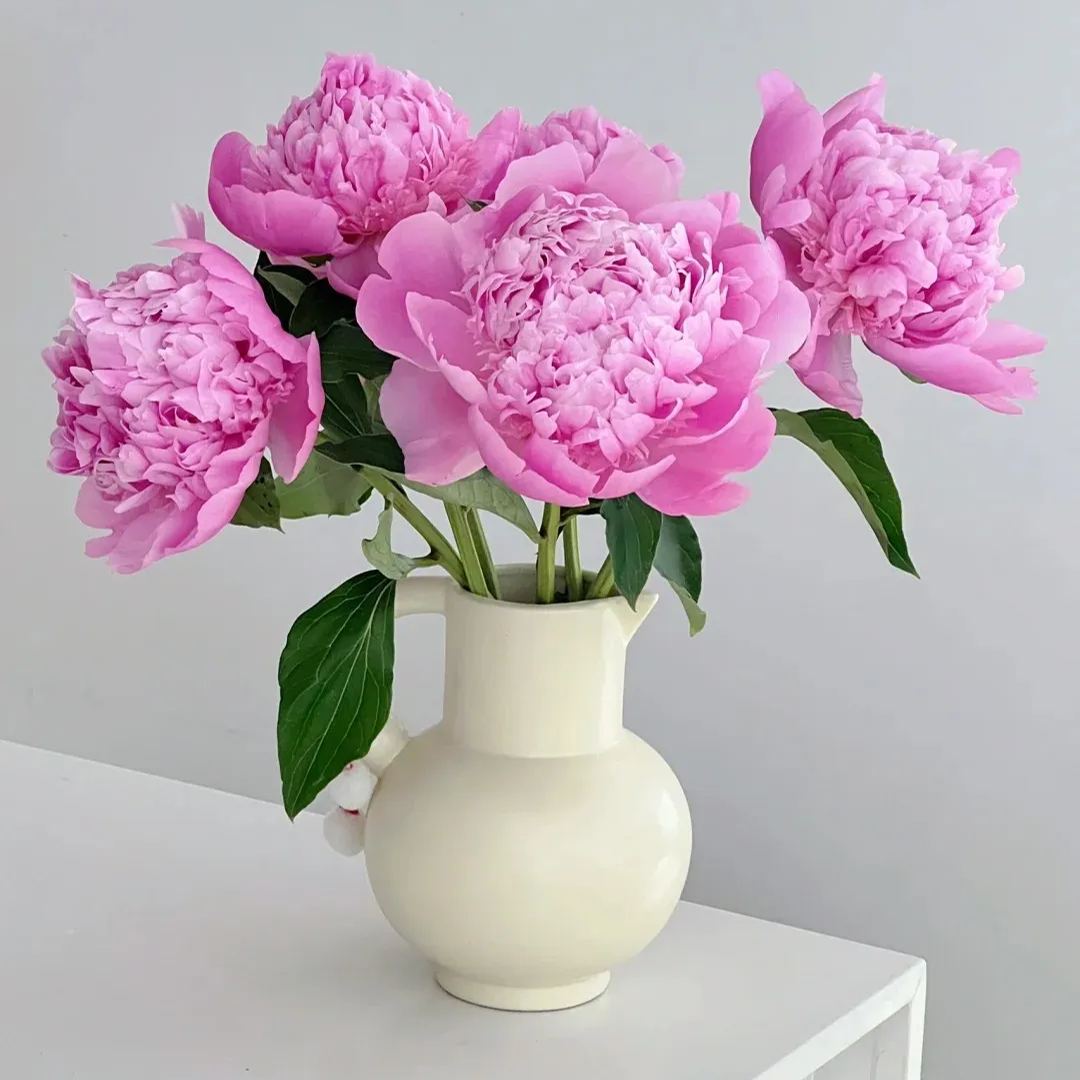 💥Popular products🌸Peony seeds🌈Colorful flowers