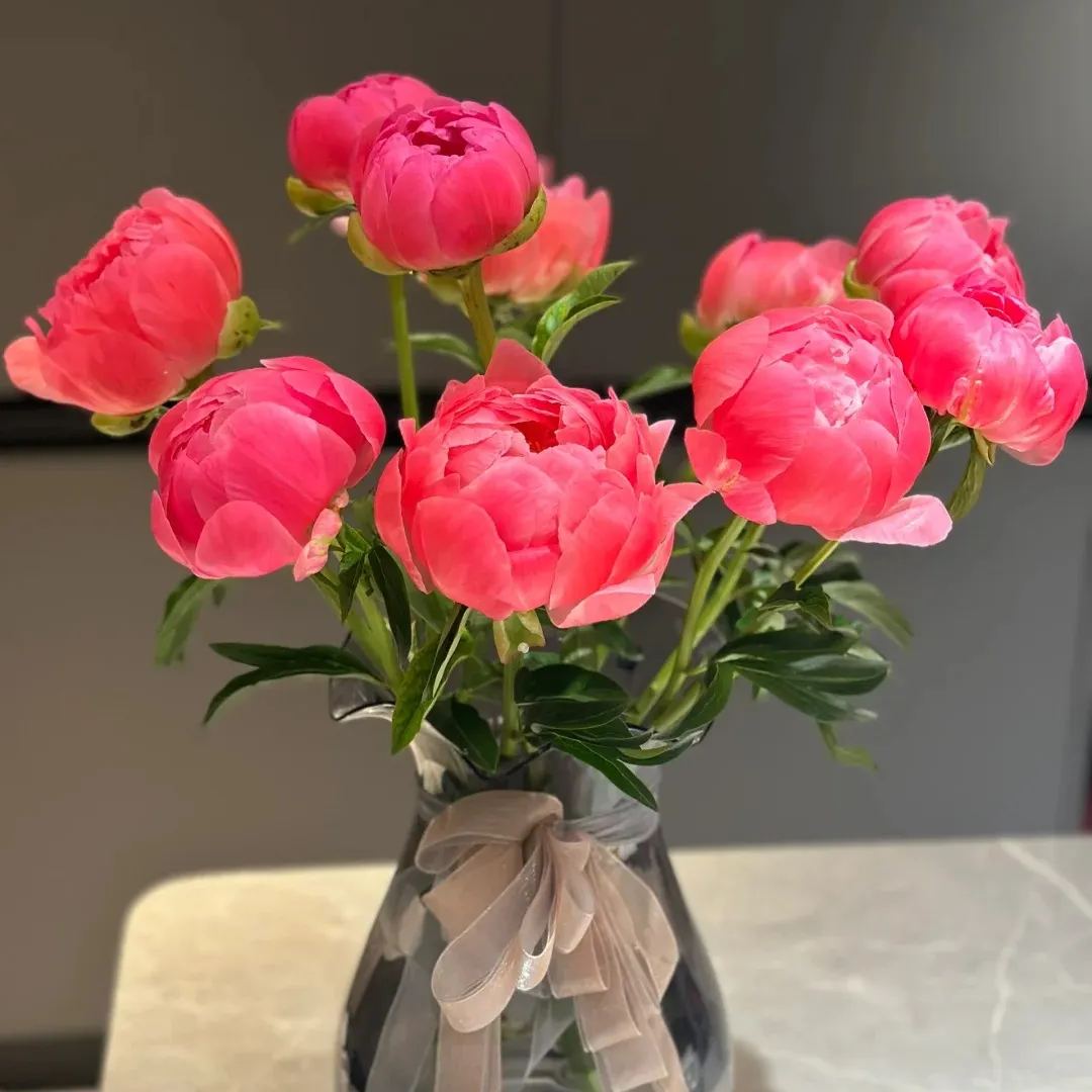 💥Popular products🌸Peony seeds🌈Colorful flowers