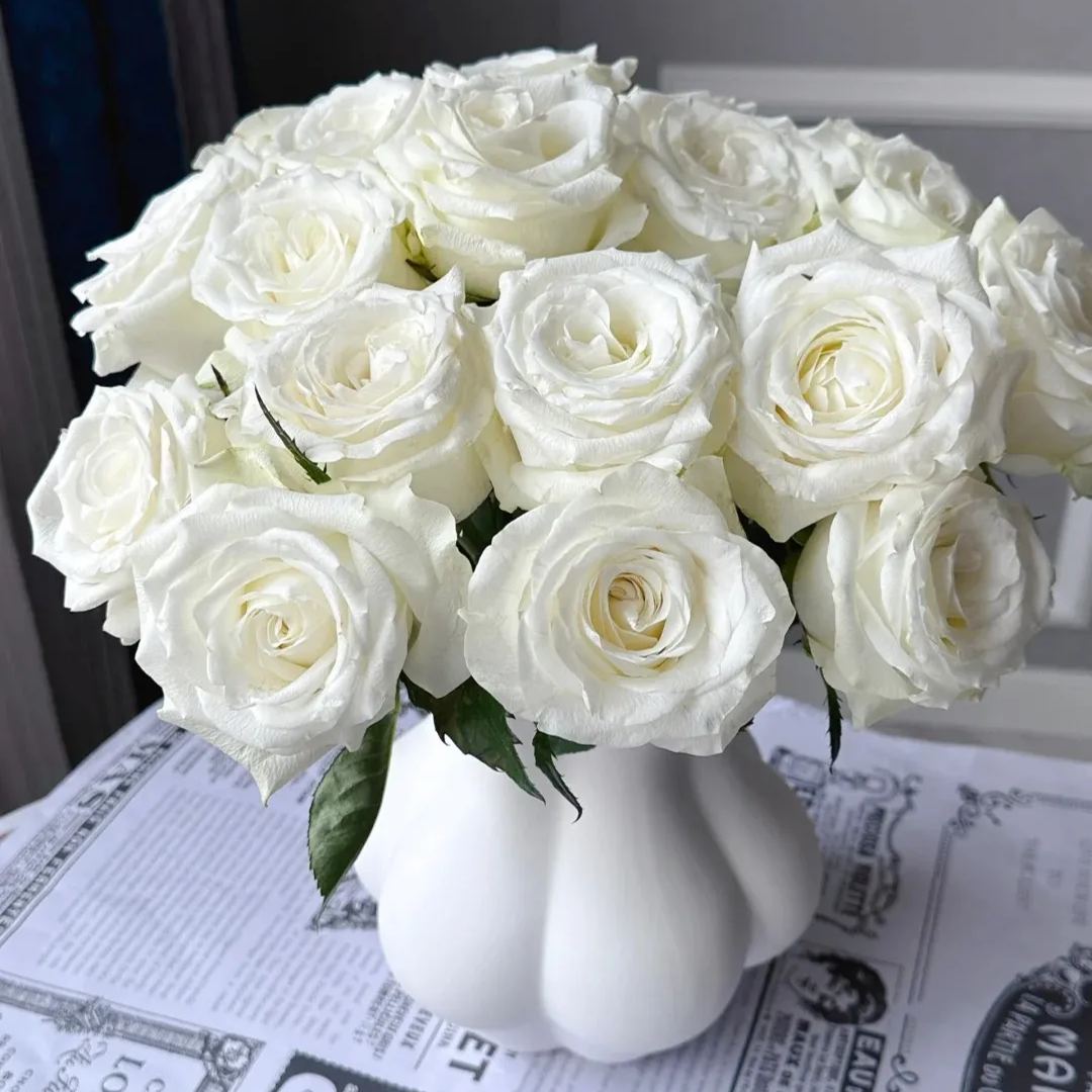 🔥53% OFF!🌹Rare Rose Seeds