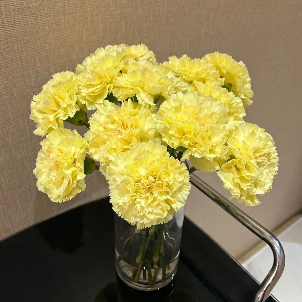 🔥 48% OFF! 10 Colors Mixed Carnations
