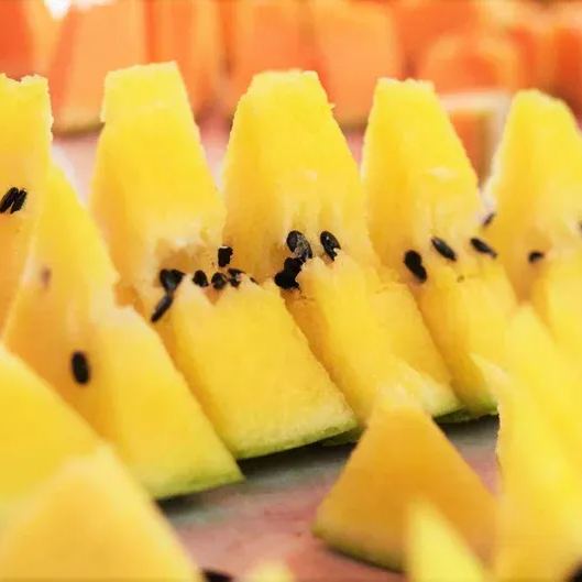 Ice Cream Watermelon