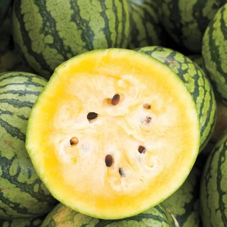 Ice Cream Watermelon