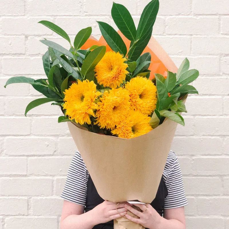 'Teddy Bear' Sunflower Seeds