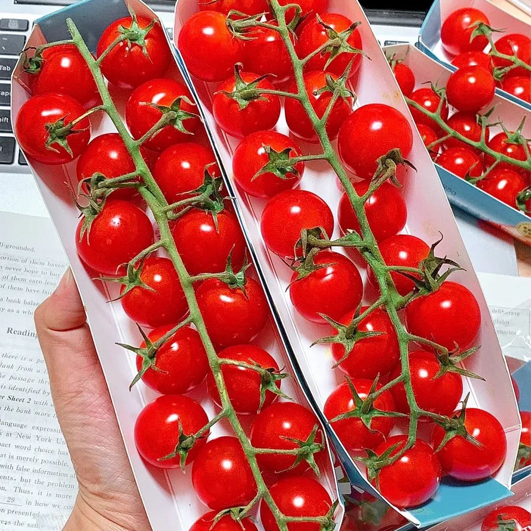 Waterfall Tomato Seeds