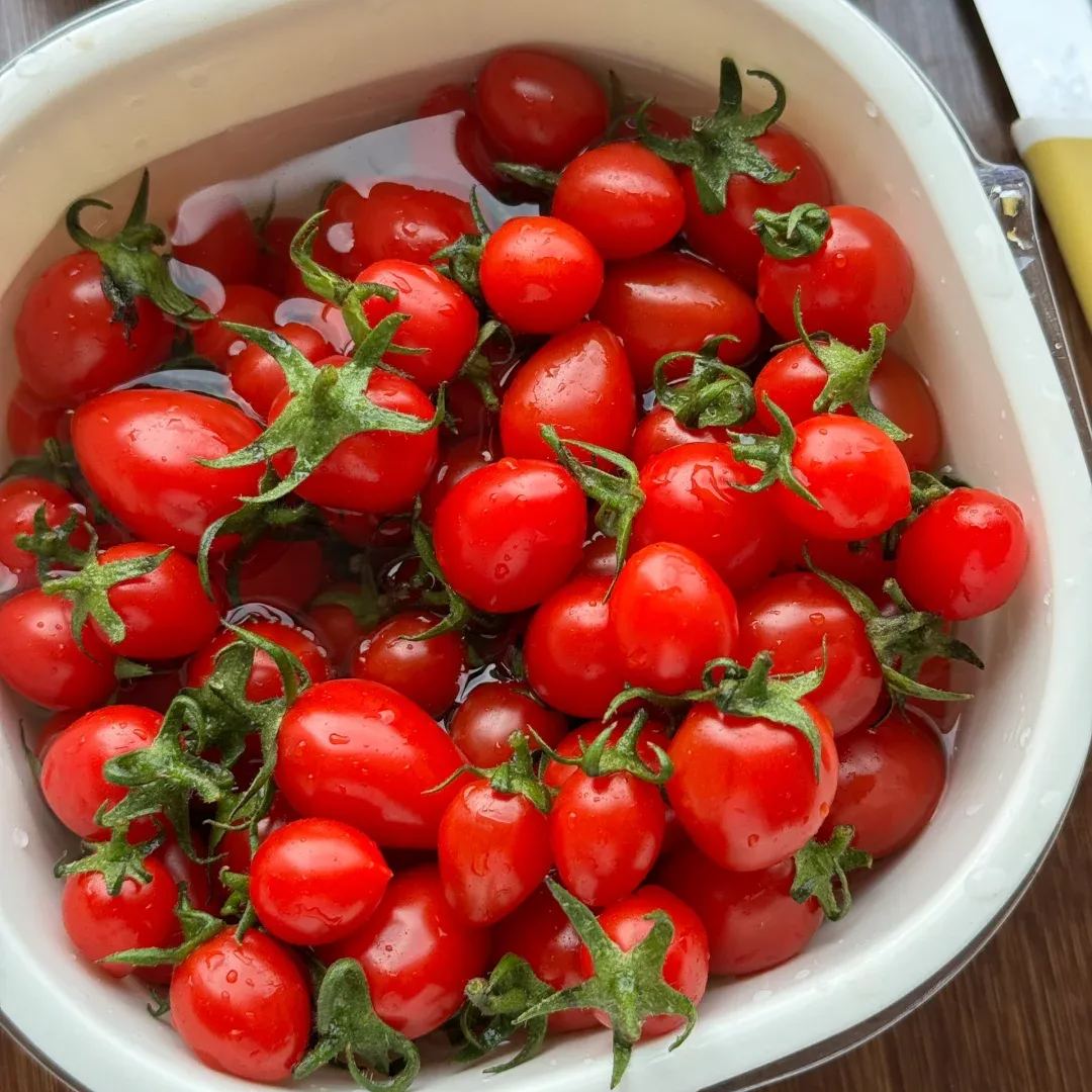 Waterfall Tomato Seeds