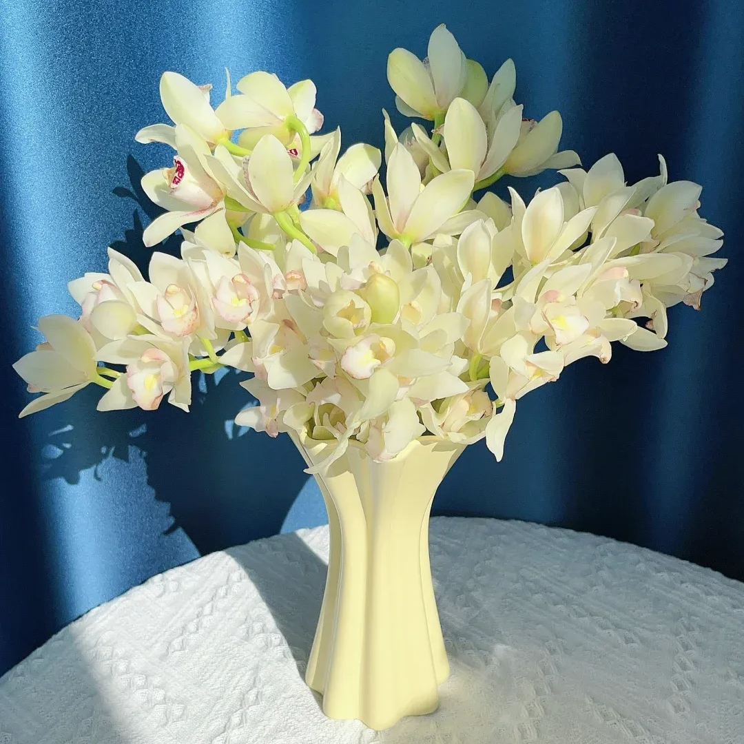 🔥62%OFF Cymbidium Orchid Seeds🪴Rare Cymbidium Seeds