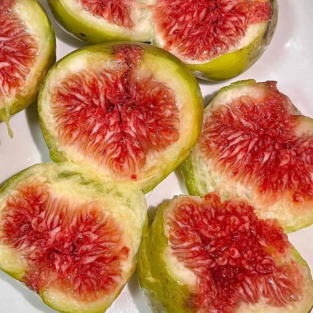 Giant Fig Tree Seeds - Grow Lush, Delicious Figs At Home