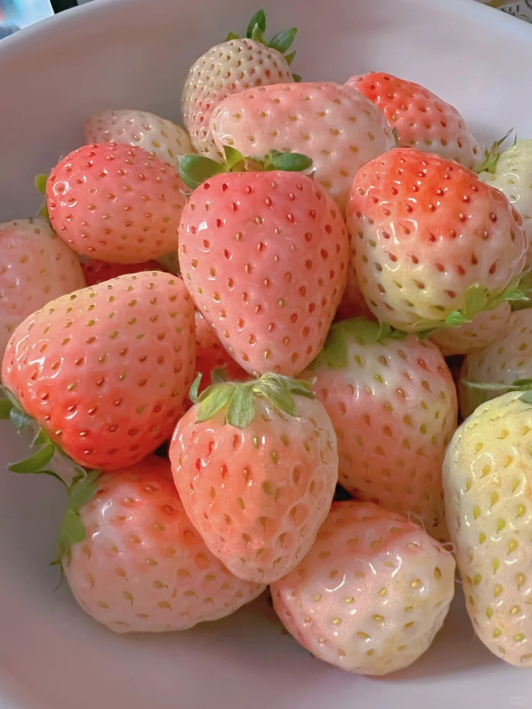🌴Various varieties of strawberries🍓