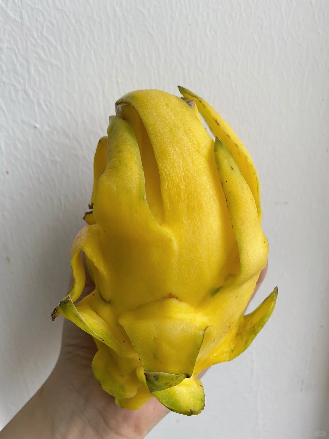 Multicolor dragon fruit🥰