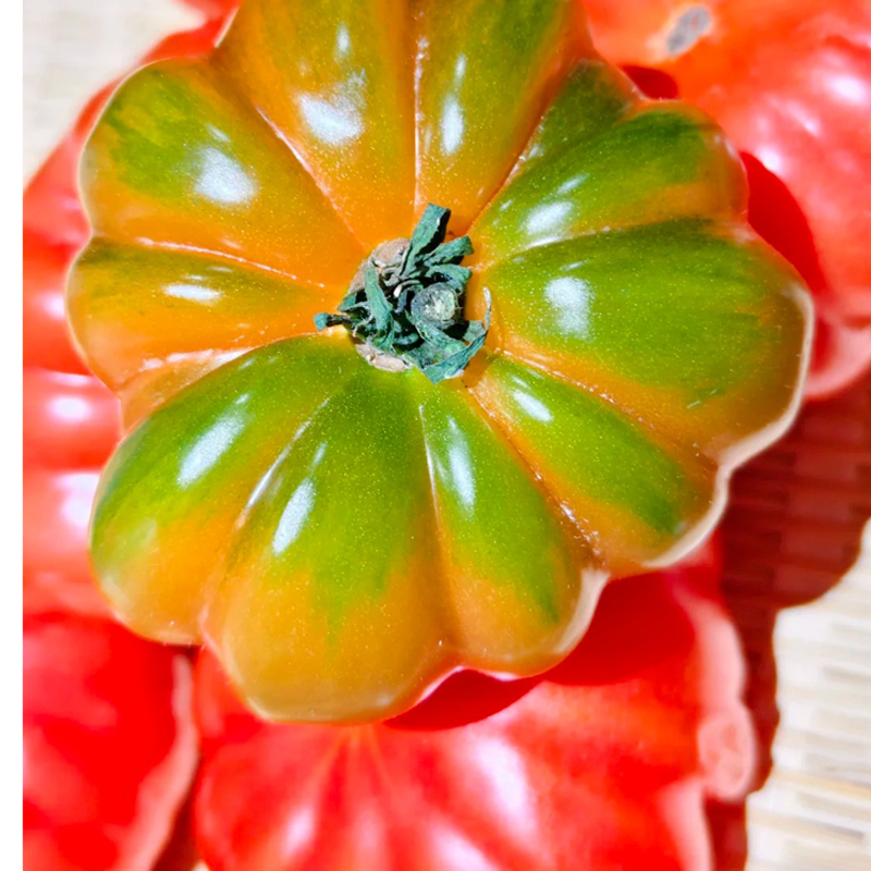 Cow Heart Tomato-