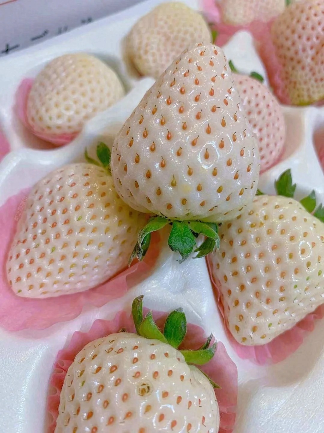 🌴Various varieties of strawberries🍓