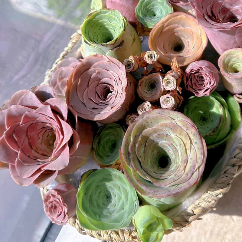 💥HOT SALE🌹Mountain Rose❗36%OFF